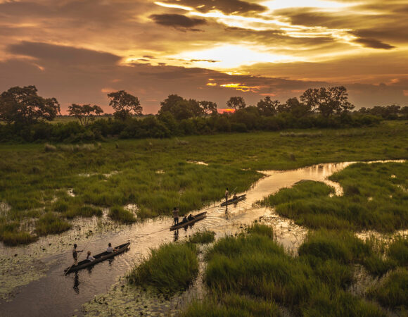 Delta & Chobe Trail North - 2025