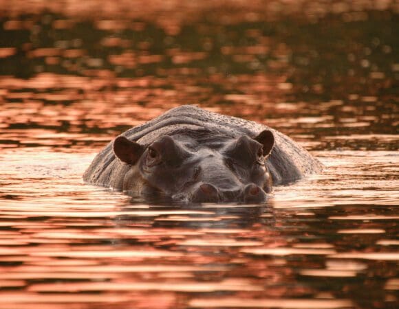 10 Reasons To Visit Namibia & Botswana This April