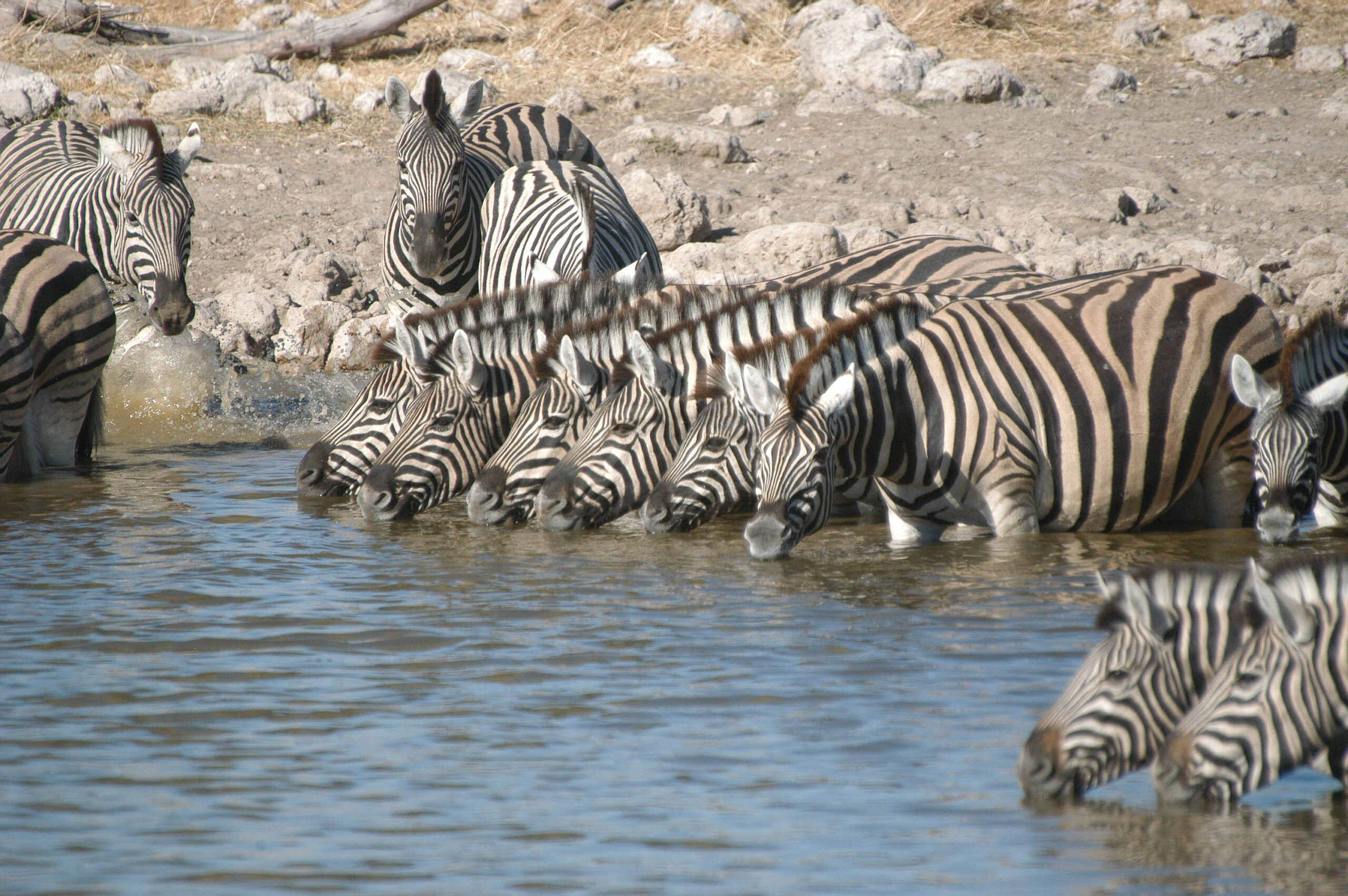 Namibia