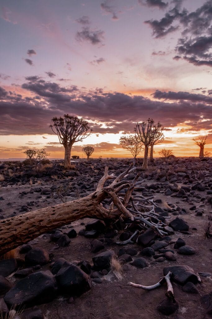 Namibia