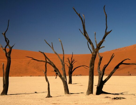 Deadvlei