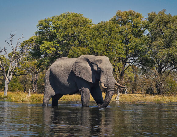 Okavango Delta
