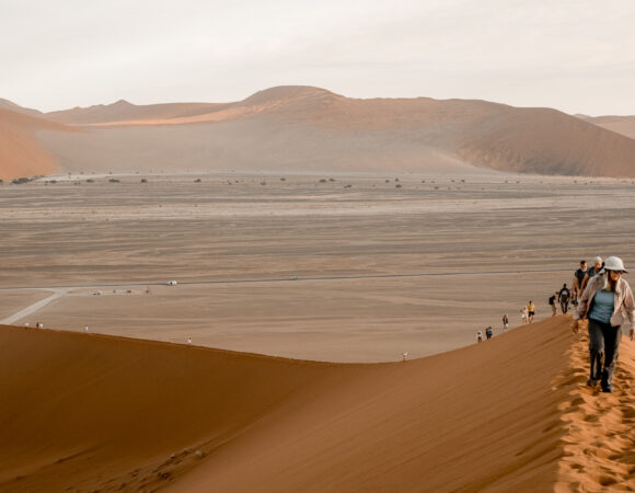 Dune 45