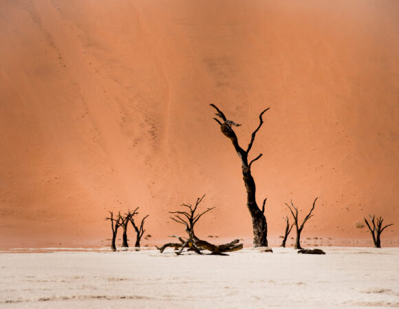 Deadvlei