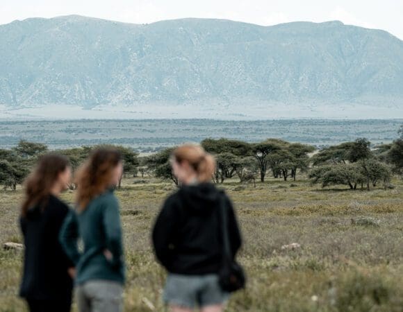 Journey Through the Heart of East Africa