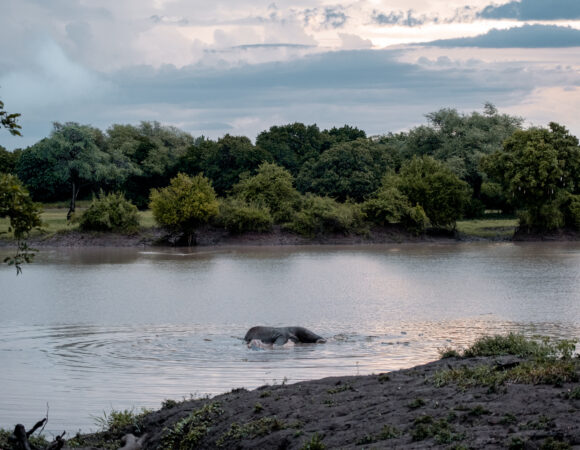 Ox Bo Lake