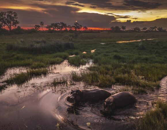 Cape to Kruger - 2025