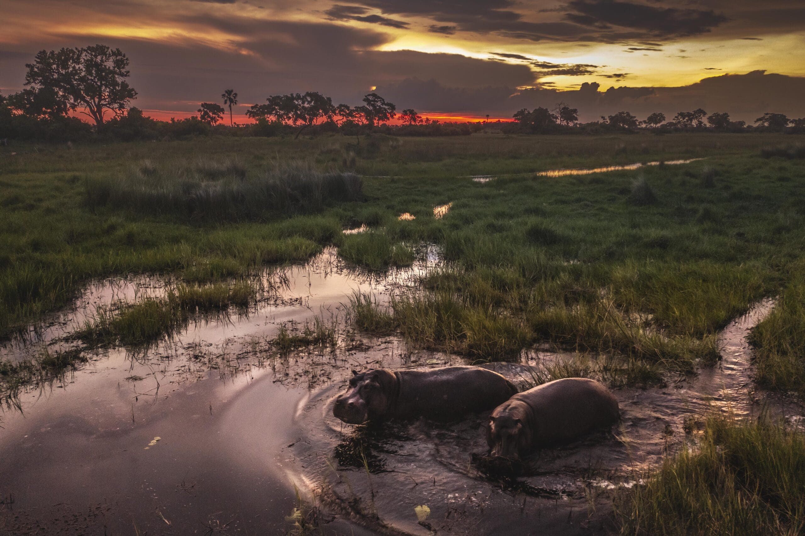 Cape to Kruger - 2025