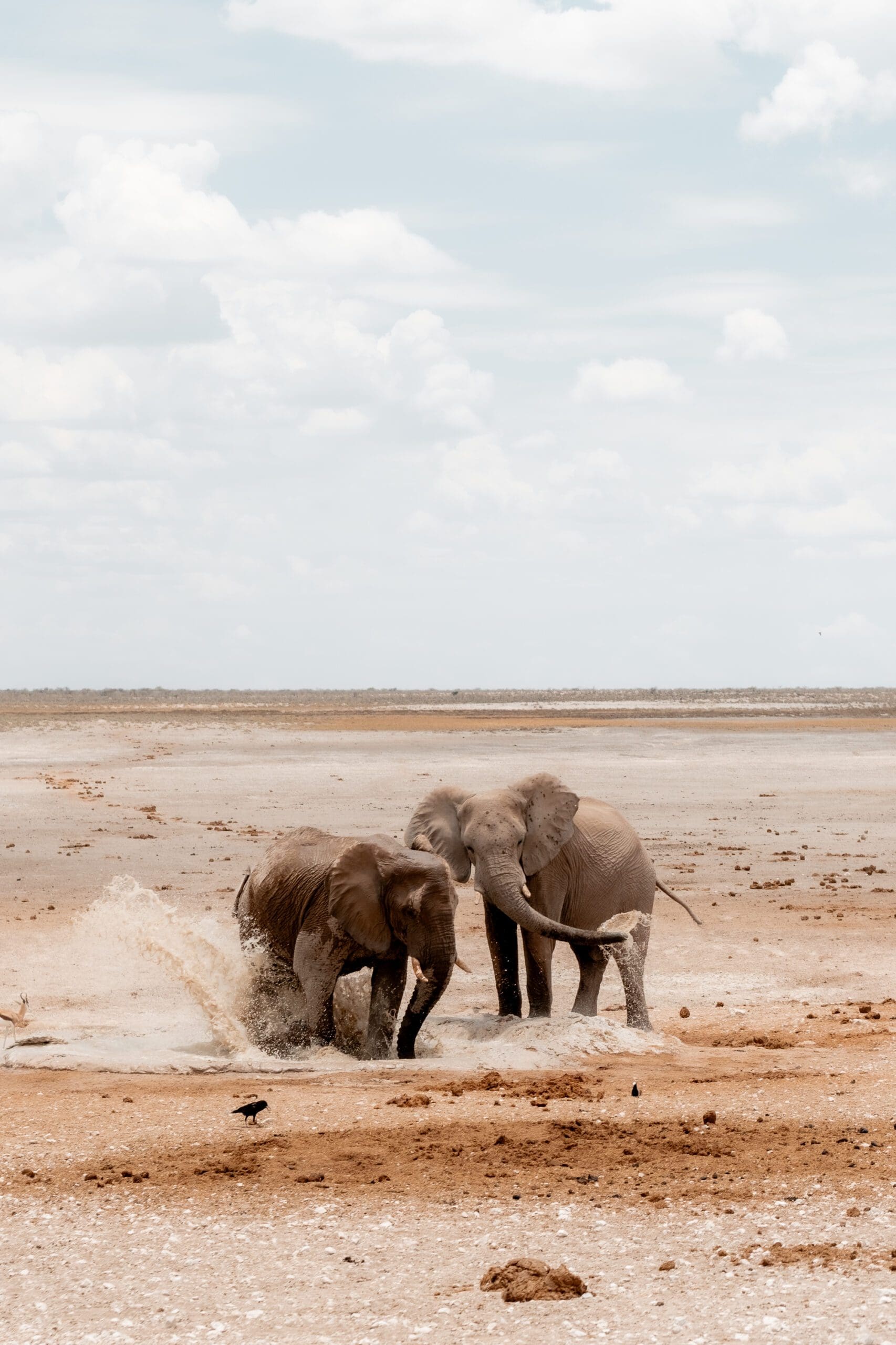 Four Country Trek - 2025