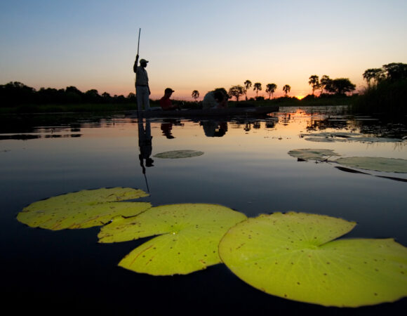 Delta & Chobe Trail South - 2026