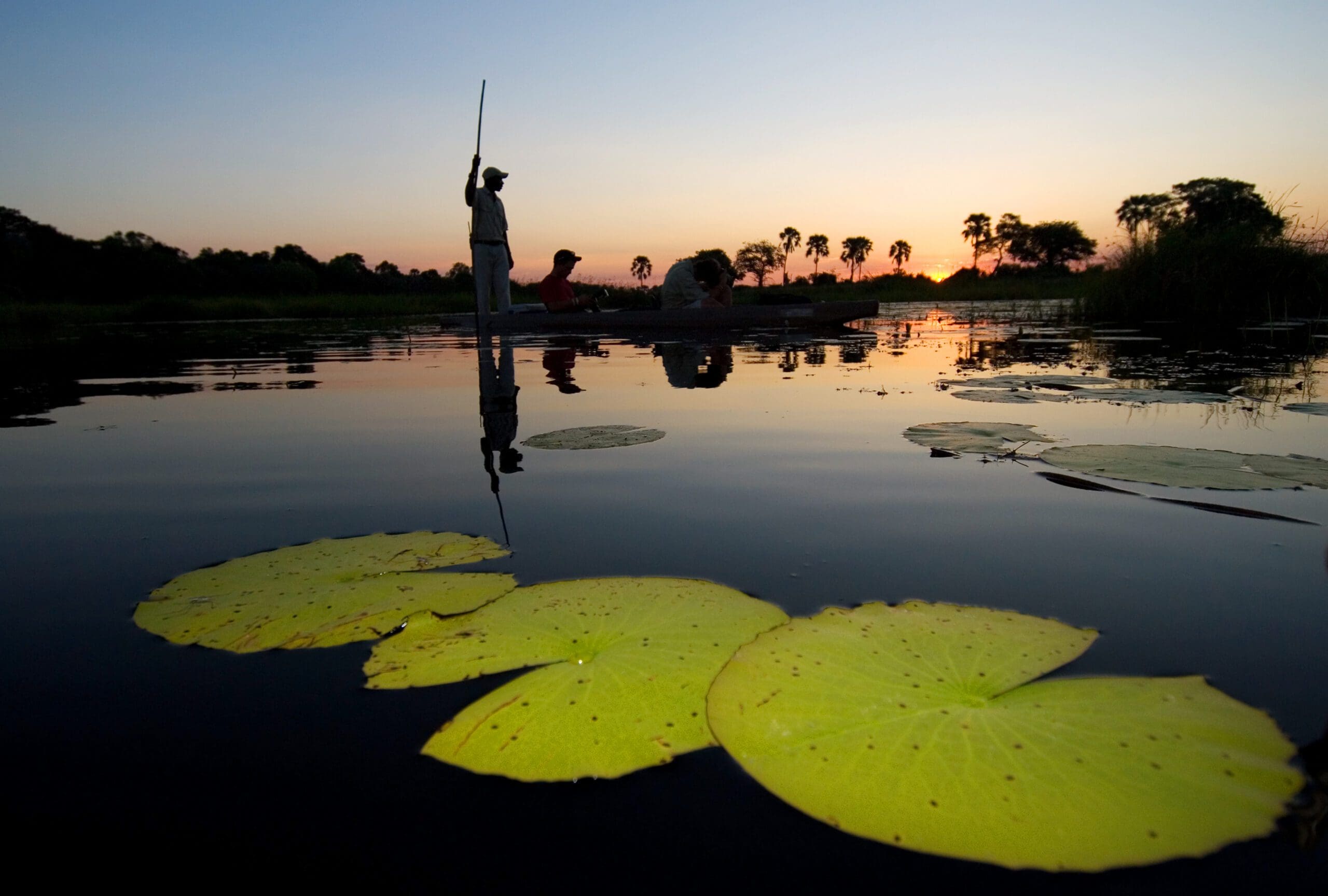 Delta & Chobe Trail South - 2026