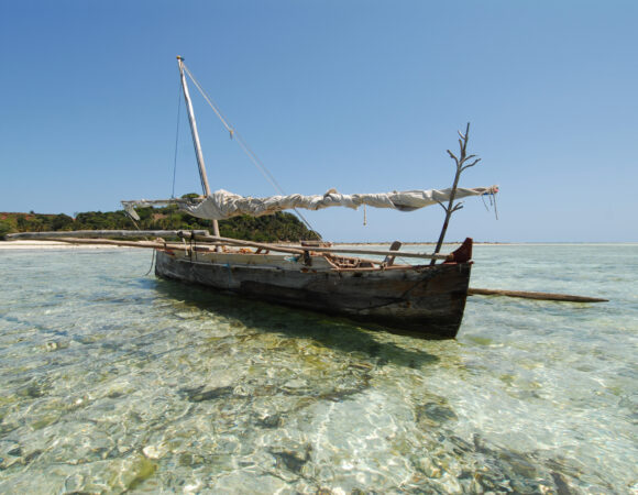 Reefs