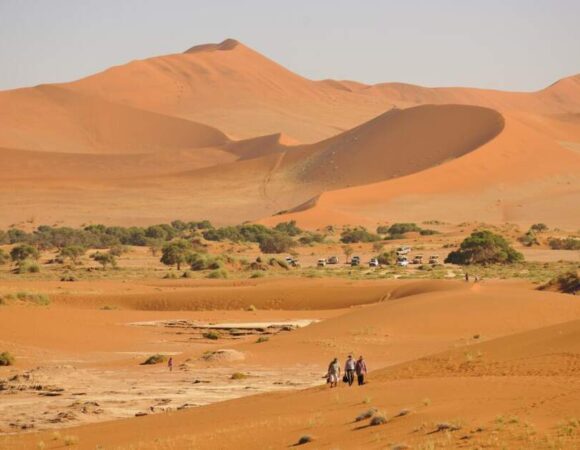 Best Of Namibia South - 2026