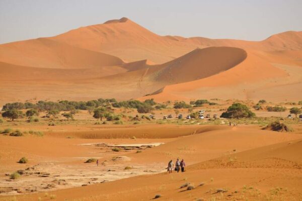 Best Of Namibia South - 2026