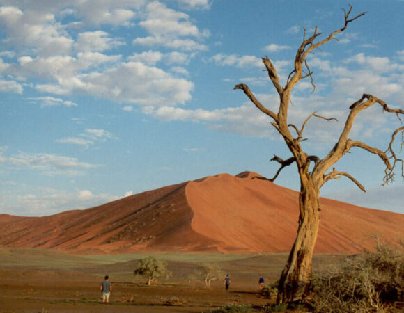 Best Of Namibia North - 2026