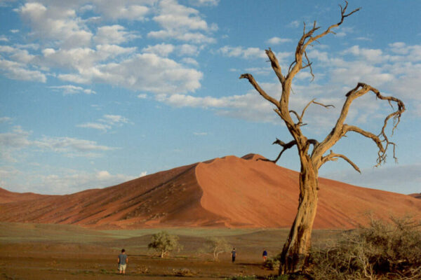 Best Of Namibia North - 2026