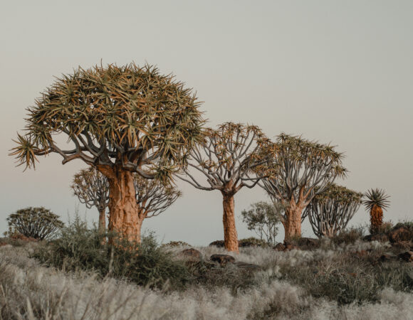 MUST SEE PLACES IN SOUTHERN AFRICA THAT YOU CAN’T FIND ANYWHERE ELSE