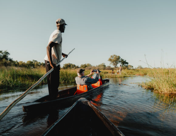 Botswana Highlights - Comfort - 2026