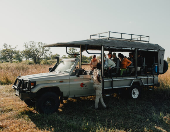 Delta, Zimbabwe & Kruger - Comfort - 2026
