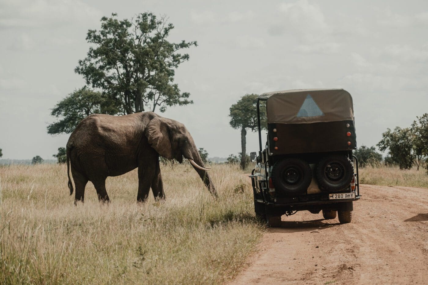 Highlights Of Kenya & Tanzania - 2026