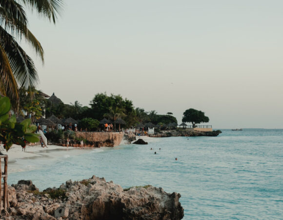 Zanzibar To The Gorillas North - 2026