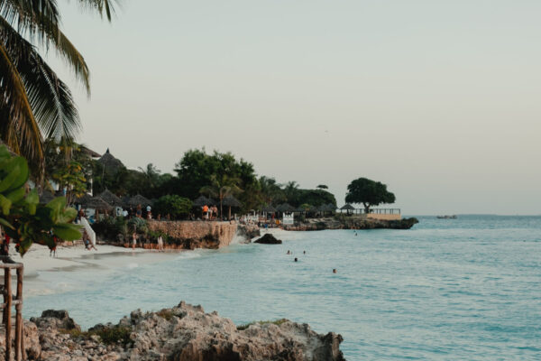 Zanzibar To The Gorillas North - 2026