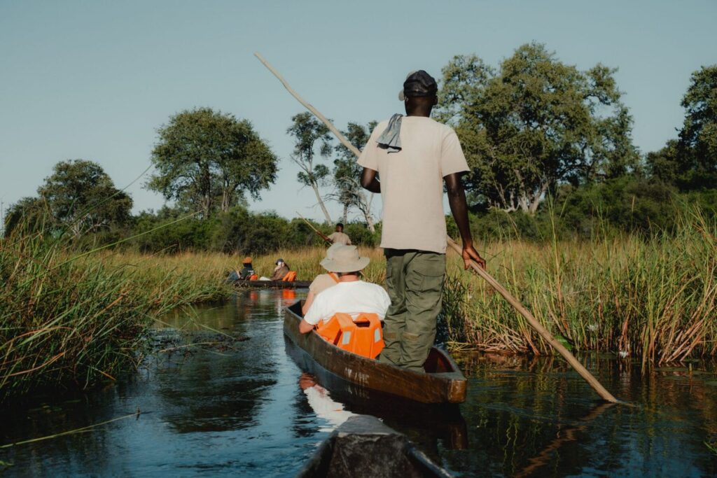 Okavango Delta premium safari