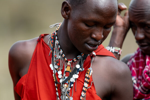 Kenya In Style