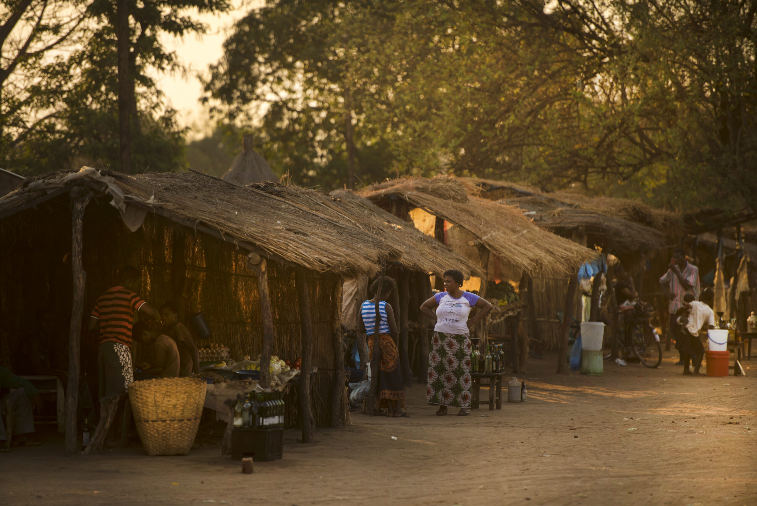 Zambia In-Depth