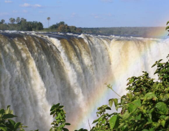 Vic Falls (3)