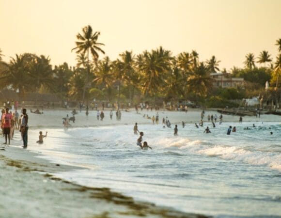 Beach & Bush Routes for Sun & Safari