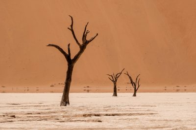 DSCF9702