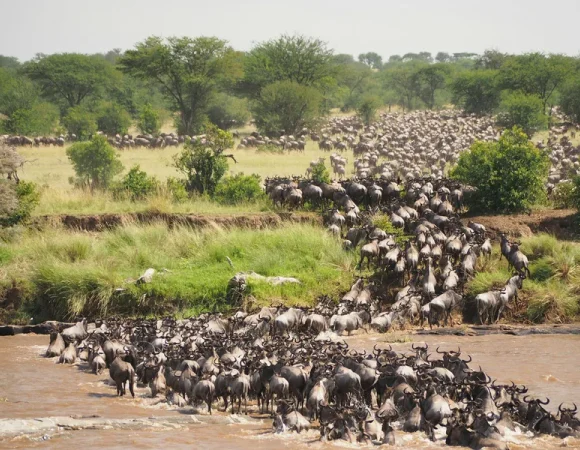 Chasing the Migration: A Serengeti and Ngorongoro TourMap